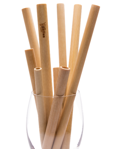 [ART-PA-1] Paille bambou réutilisable 